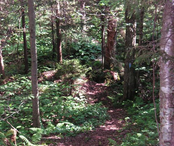 Woodford State Park
